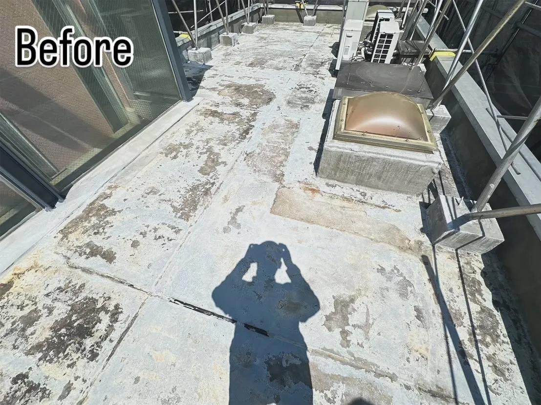 📸 Before ▶︎ After