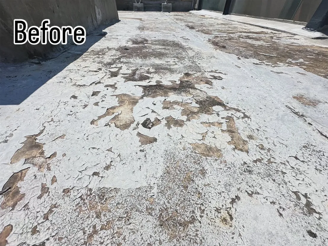 📸 Before ▶︎ After