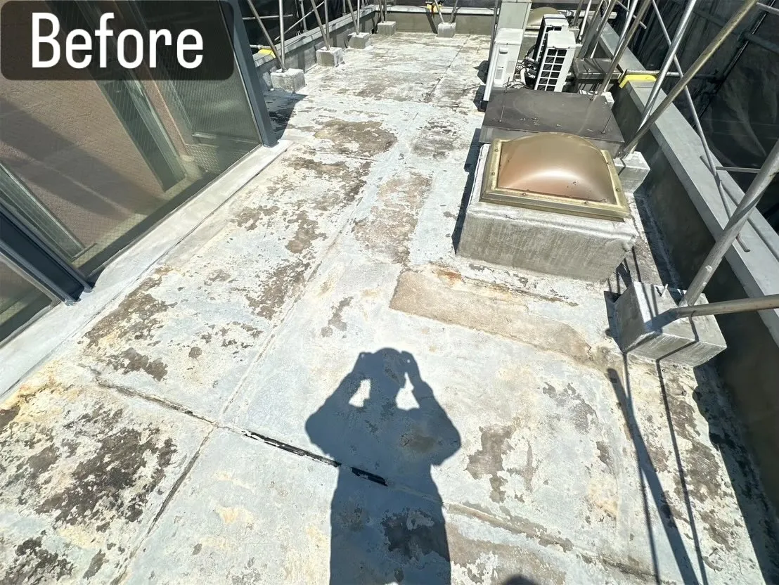 📸 After▶︎Before