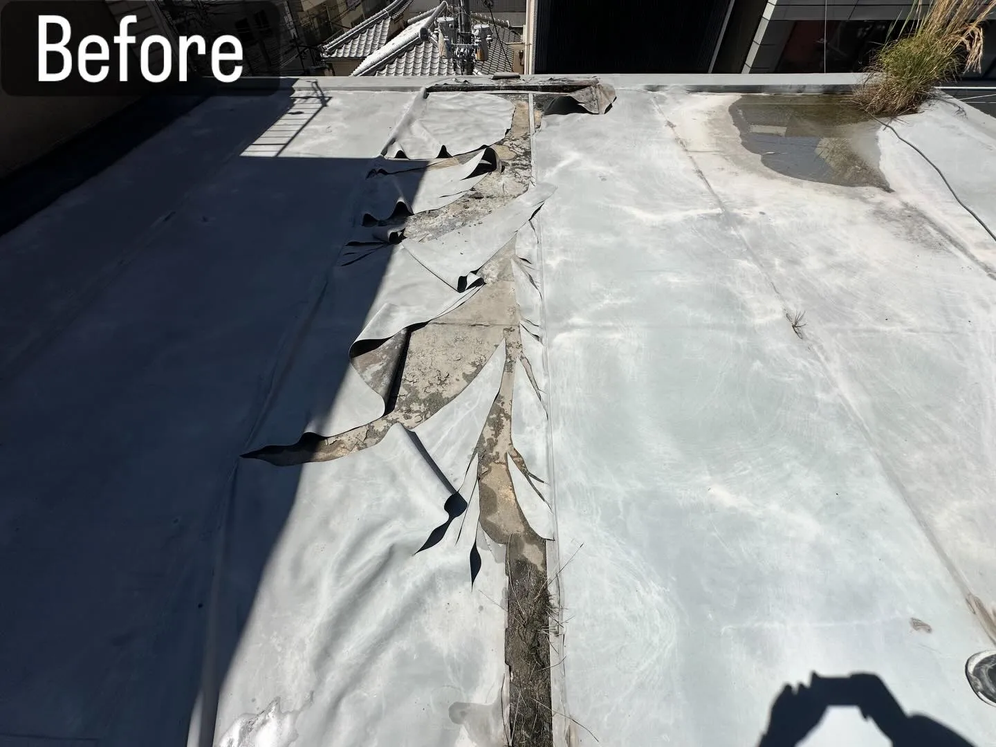 📸 After▶︎Before