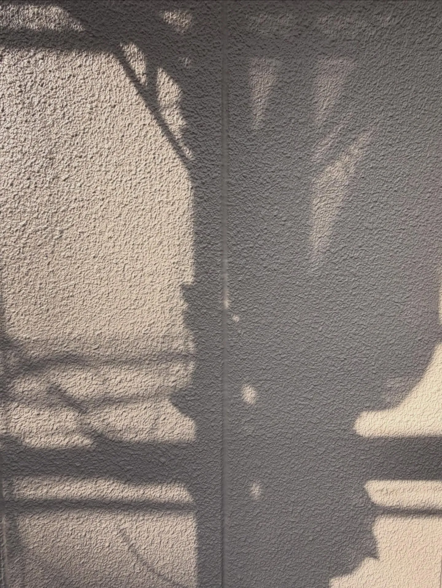 【春、外壁に咲く。