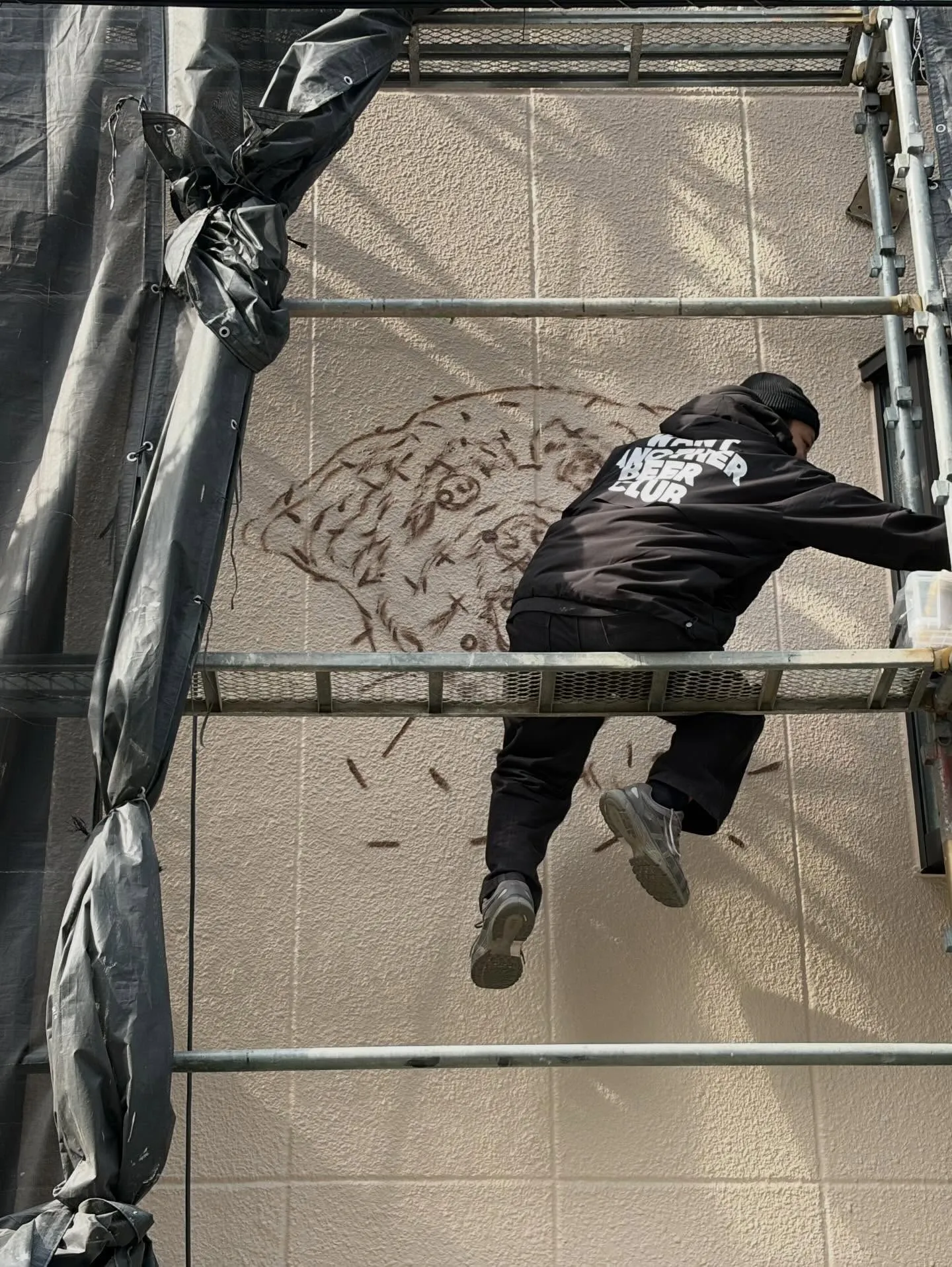 【春、外壁に咲く。