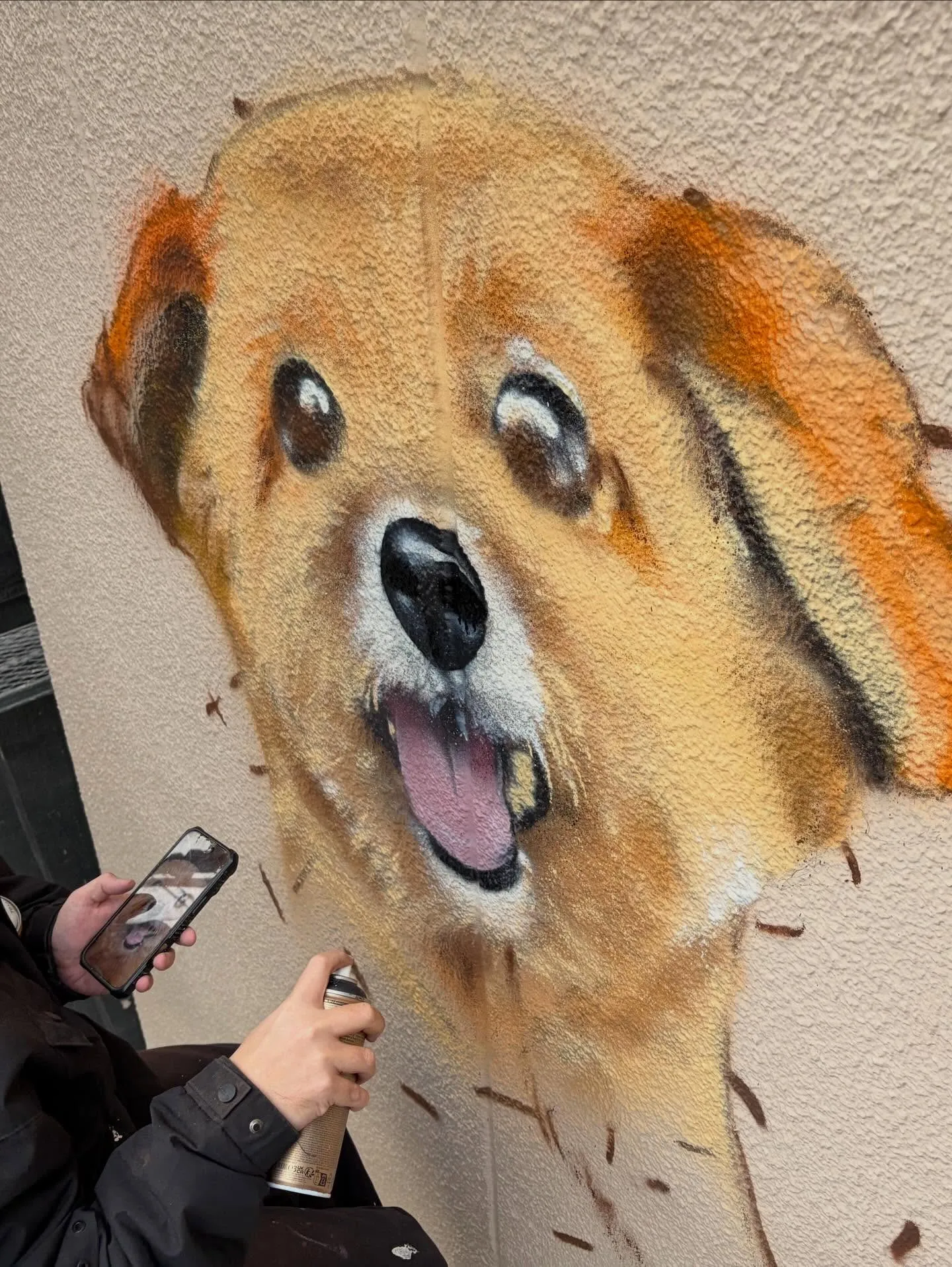 【春、外壁に咲く。