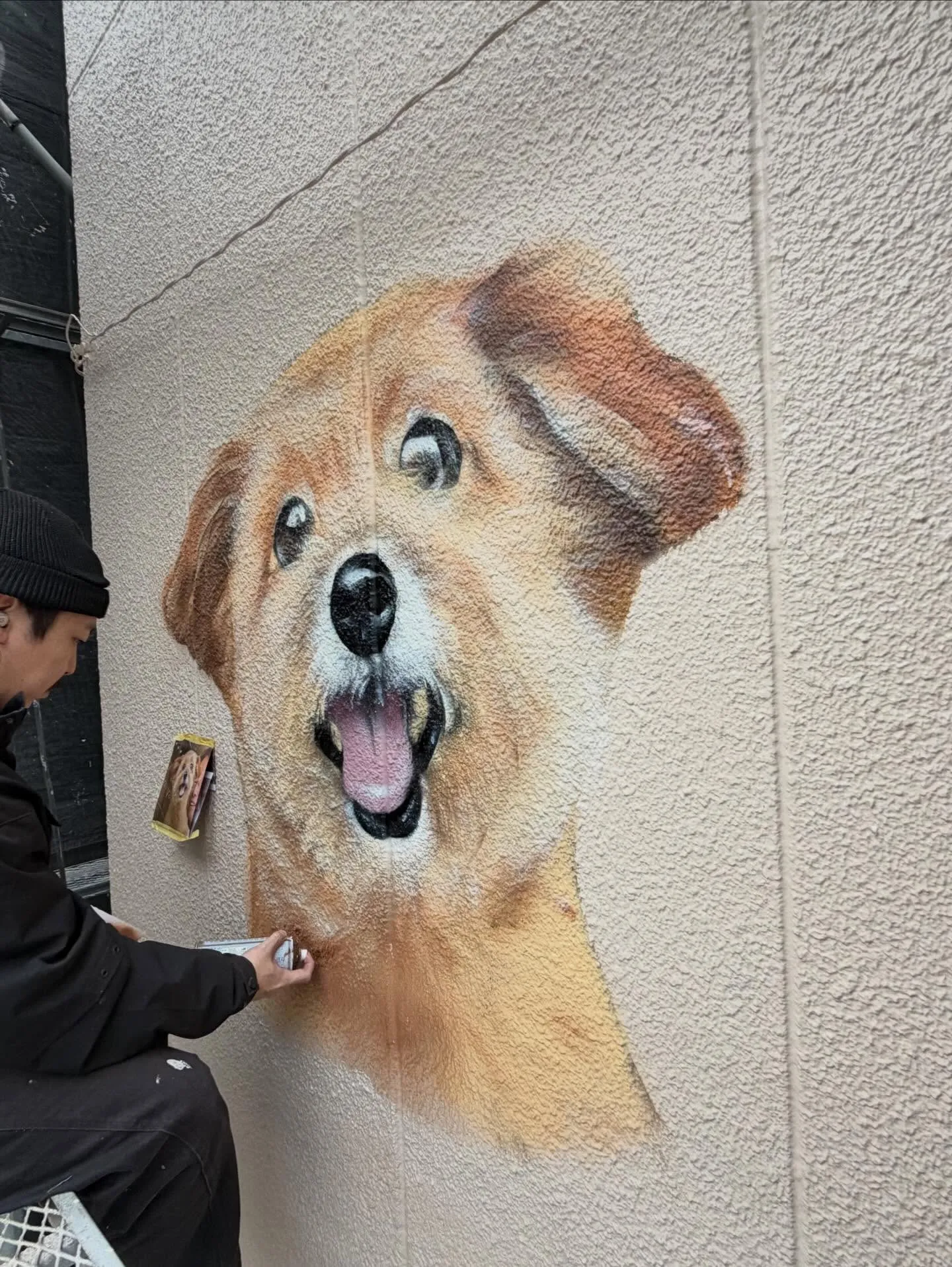 【春、外壁に咲く。