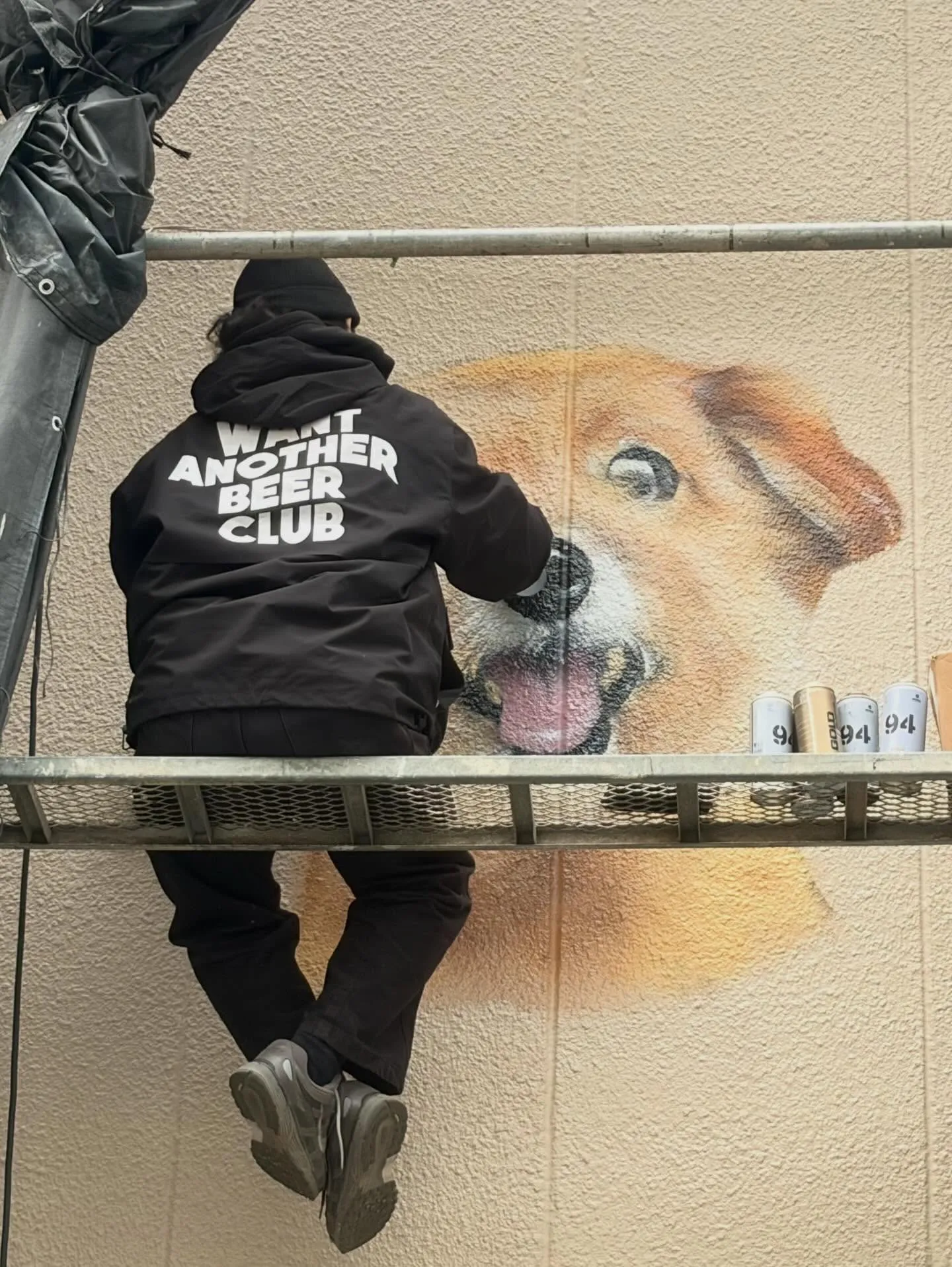 【春、外壁に咲く。