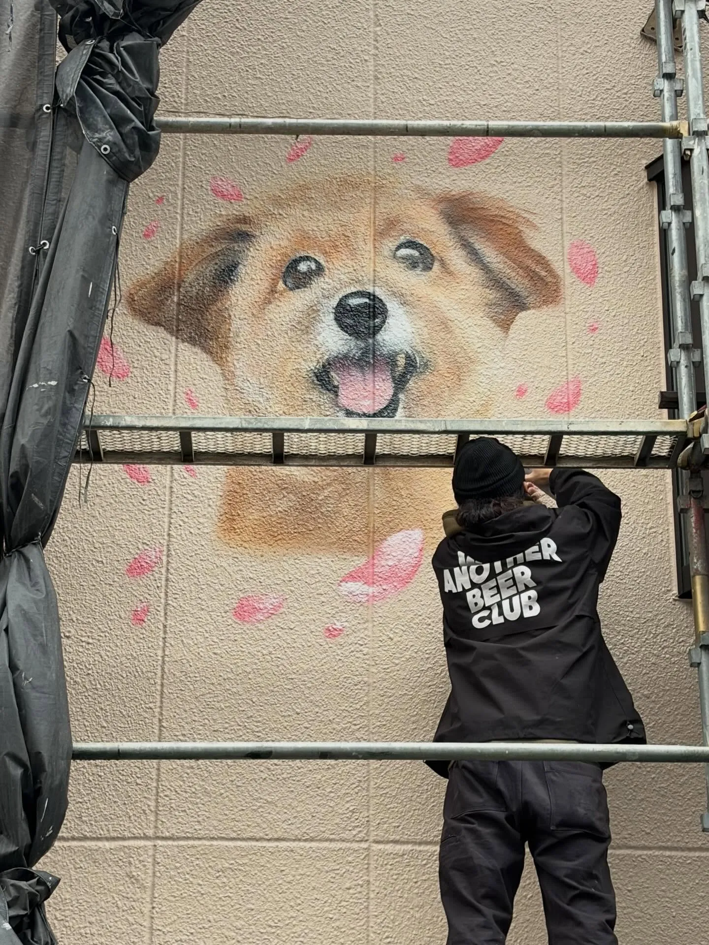 【春、外壁に咲く。