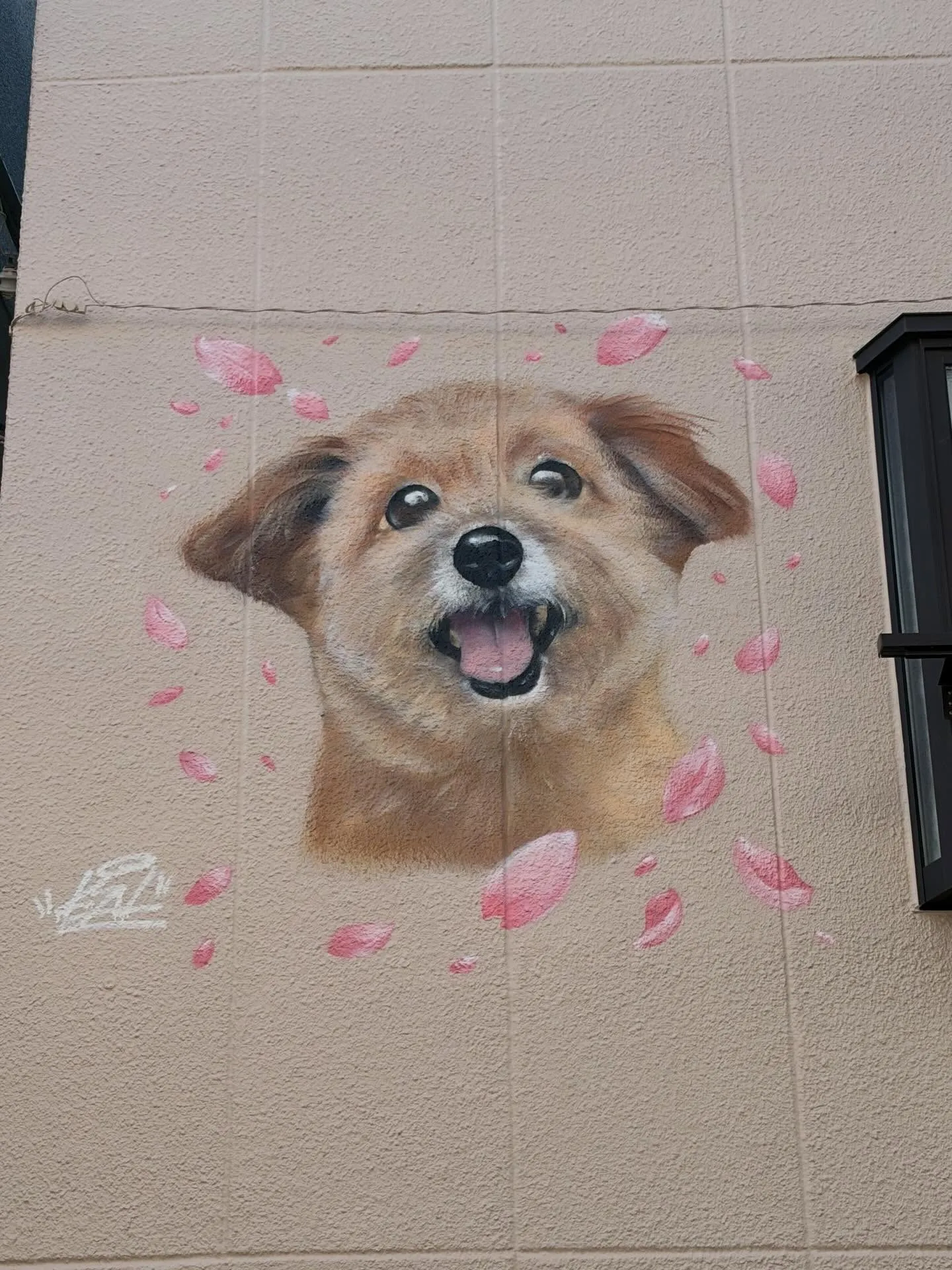 【春、外壁に咲く。