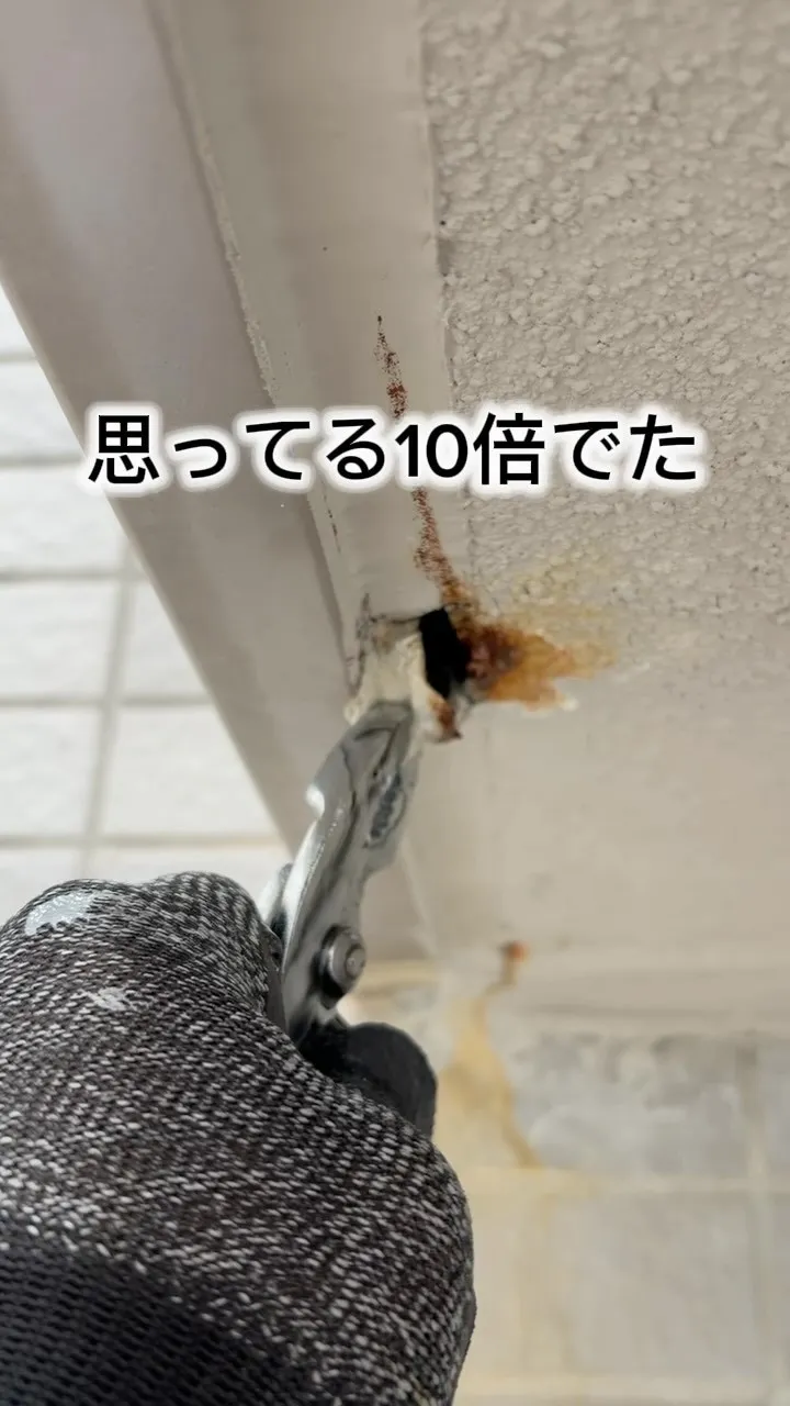 【閲覧注意】思ってる10倍ドバドバ出た……😱