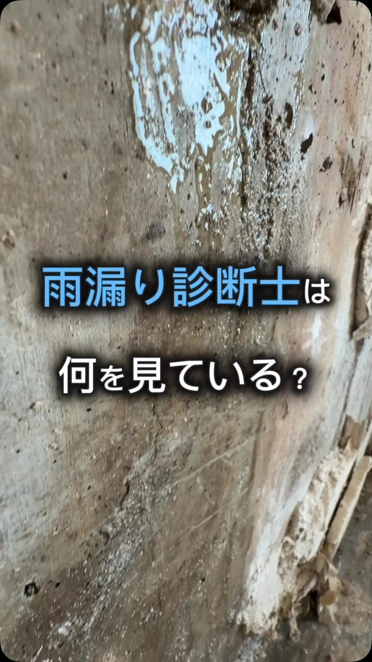【雨漏り診断士の脳内】をのぞき見🧠🔍
