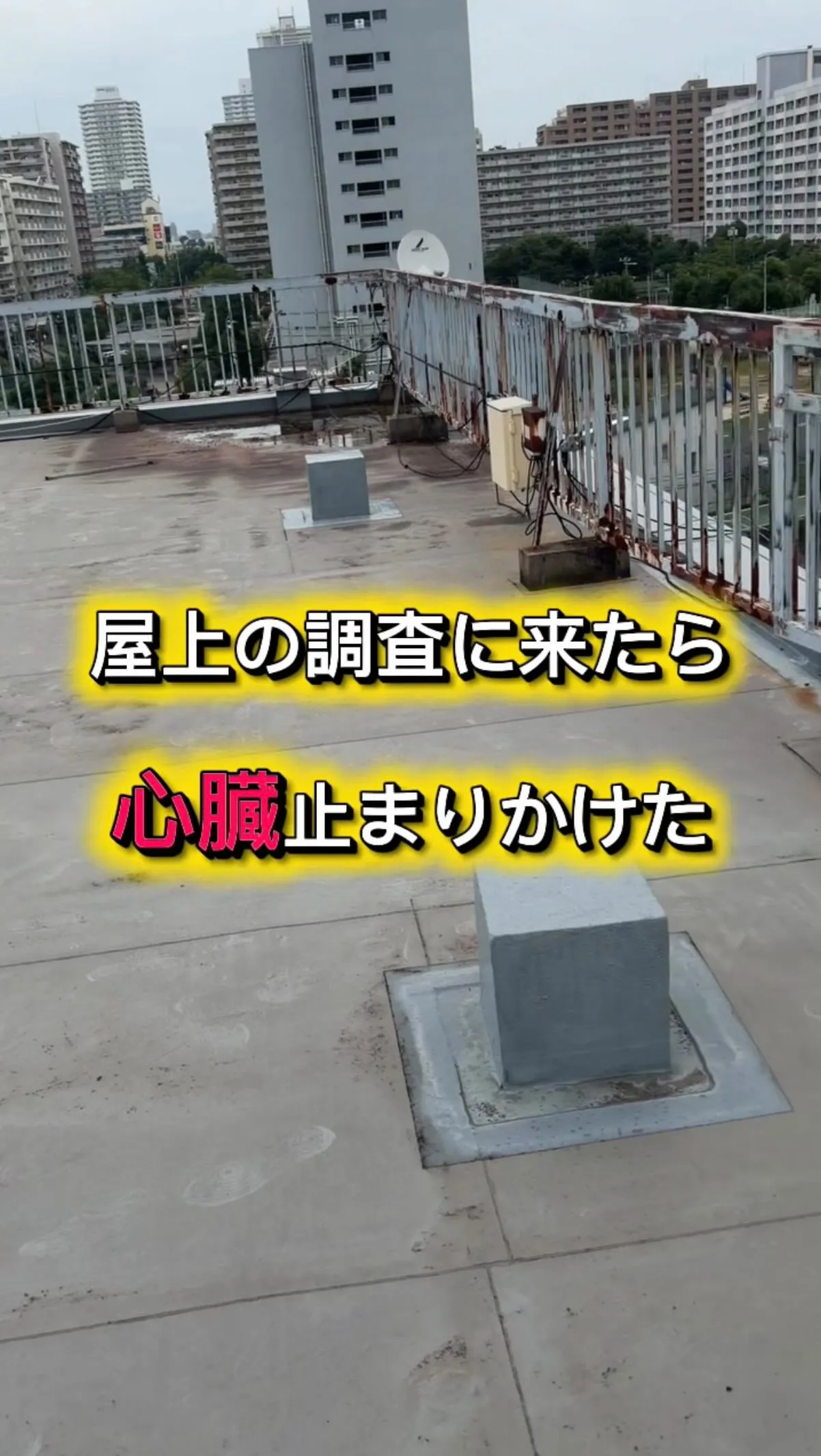 5度見しました。